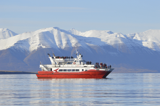 Akureyri Classic Whale Watching — photo 15