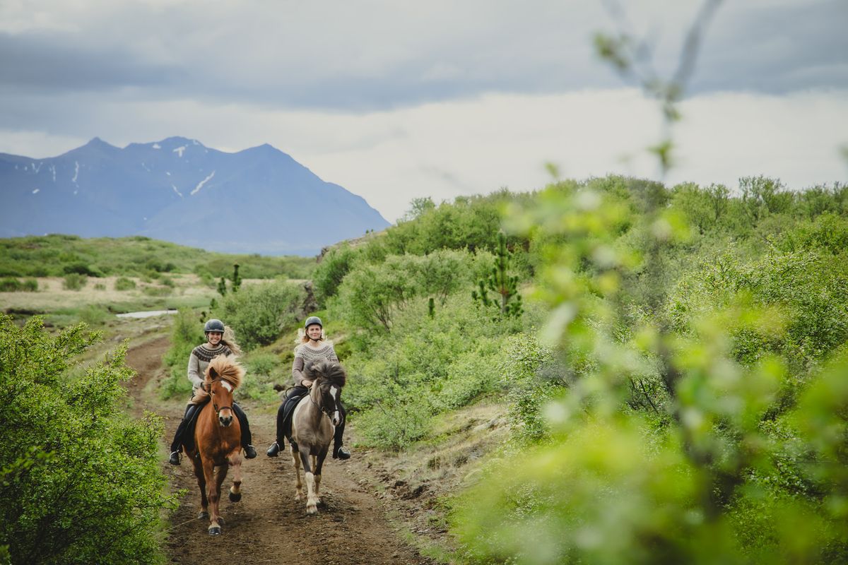 1,5h Trail Ride for All Levels, photo 11 of 12