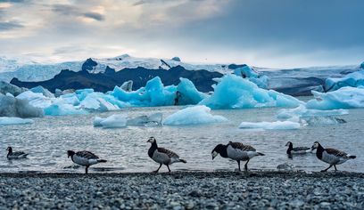 From Reykjavik: South coast, Diamond Beach &Glacier Lagoon Day Tour guided in Chinese冰岛南岸钻石沙滩&冰河湖中文一日团