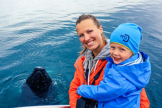 Whale Watching Eyjafjörður: From Árskógssandur — photo 3
