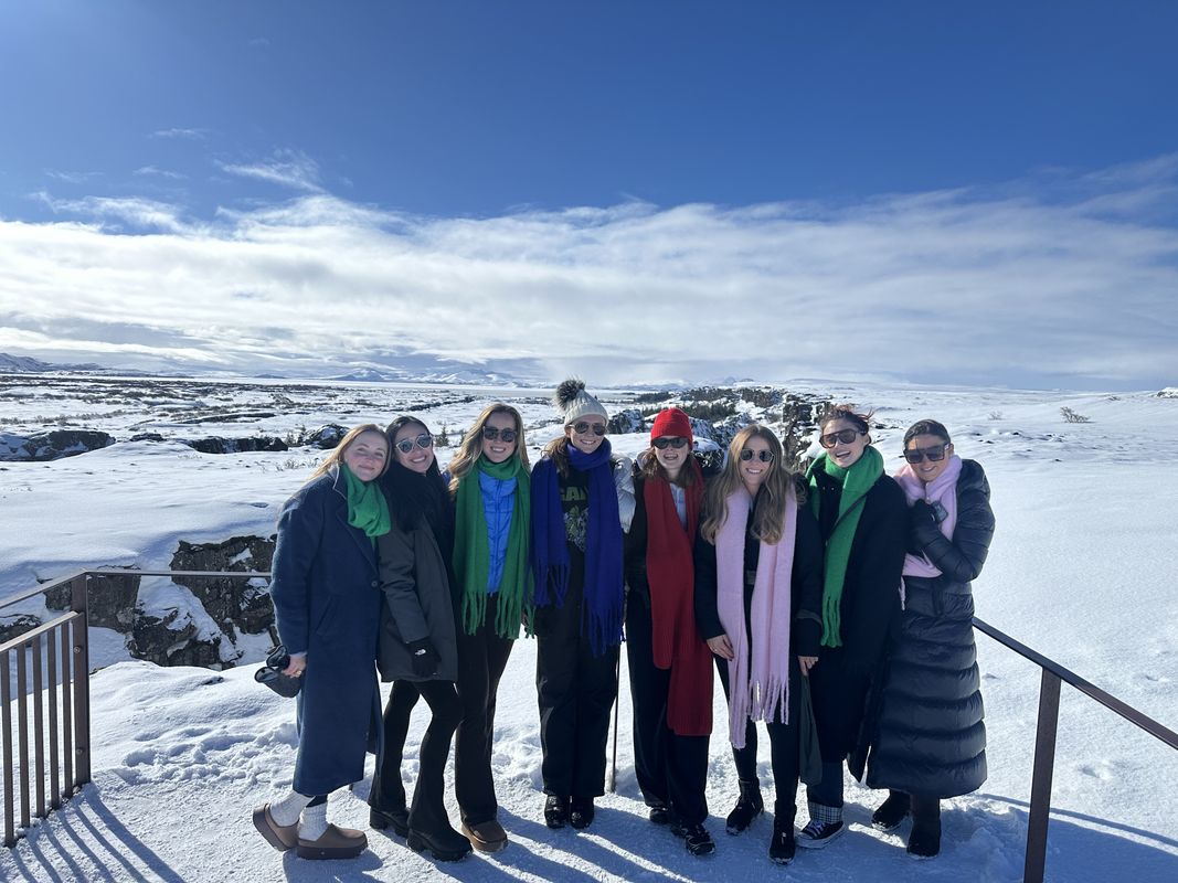 Golden Circle Private Tour with Secret Lagoon from Reykjavik, photo 2 of 27