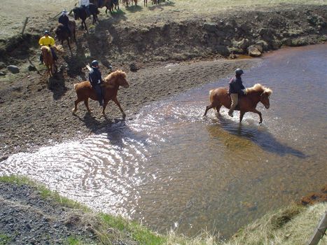 05D - Riding and Hiking — photo 3