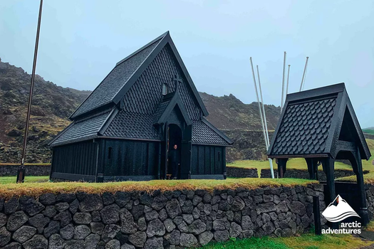 Vestmannaeyjar Day Tour — photo 8