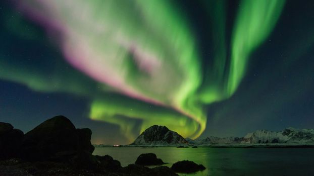 Reykjavik: Northern Lights Tour