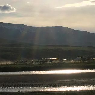 Horse Riding Tour and Explore Scenery in Gásir Akureyri — photo 10