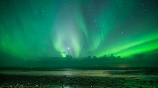 Reykjavik: Northern Lights Tour — photo 4