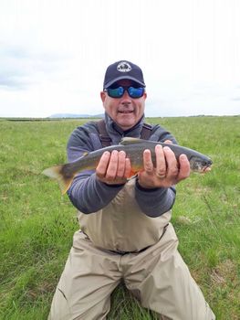 Private Day Tour – Fly Fishing for Trout & Char in South Iceland — photo 19