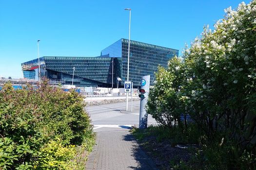 Exclusive Private Walking Tour with Food in Reykjavik – Guided by Otto the Viking — photo 5