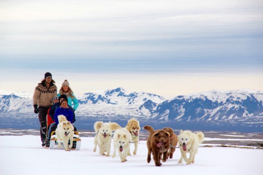 Dog Sledding Near Reykjavik — photo 6