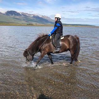 Horse Riding Tour and Explore Scenery in Gásir Akureyri — photo 11