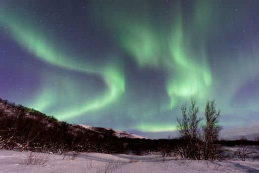 Private Northern Lights Tour from Reykjavik, With Photographs, and Hot Chocolate — photo 8