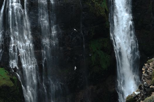 Private Hiking Tour to Glymur Waterfall: Minivan Transfer — photo 20