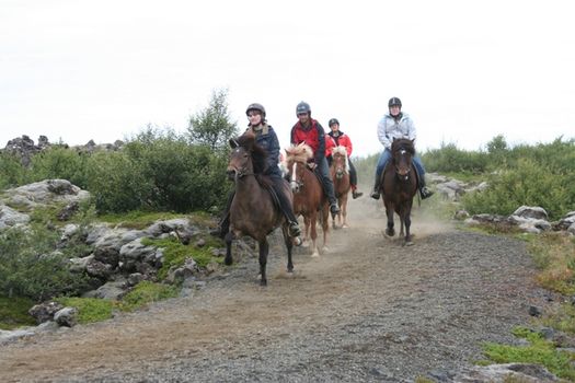 Viking Tour - For experienced riders — photo 4