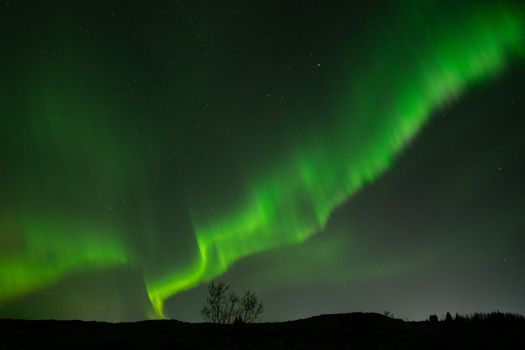 Northern Lights in Mini Bus with Local Pastries, Hot Chocolate, and Photos — photo 10