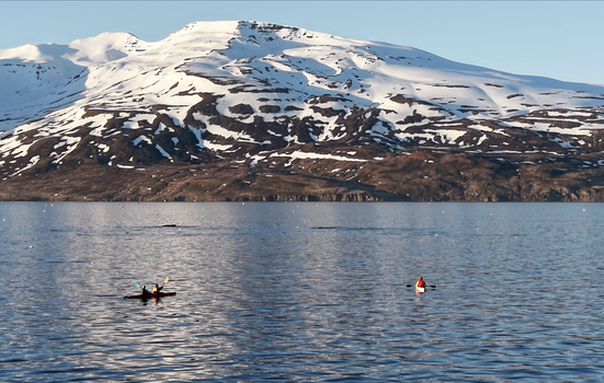 Guided Kayak Tour in Árskógssandur: Explore Coastline & Wildlife — photo 2