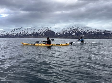 Guided Kayak Tour in Árskógssandur: Explore Coastline & Wildlife — photo 14