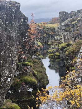 Exclusive Golden Circle Tour with Icelandic Farm Experience — photo 14