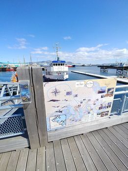 Whale watching - Downtown Reykjavík — photo 7