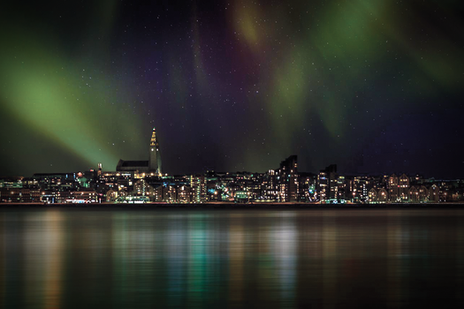Northern Lights Yacht Cruise — photo 7