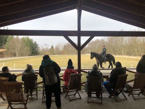 Golden Circle Small Group Tour with Friðheimar Farm Visit — photo 11