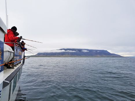 Whales & Sea Angling — photo 13