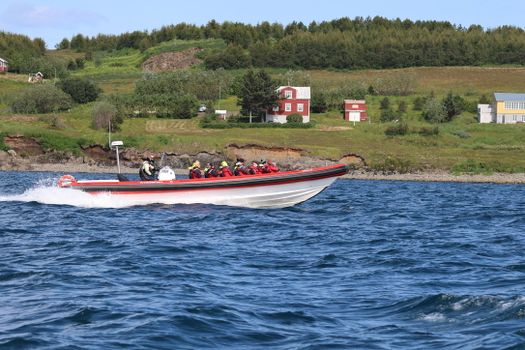 Express Whale Watching From Dalvík — photo 11
