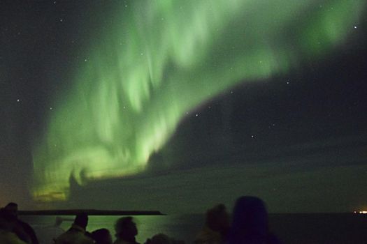 Northern Lights by Boat — photo 8