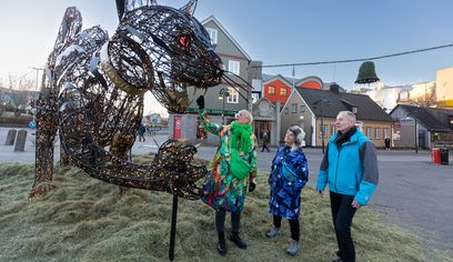 Private Reykjavik Christmas Walking Tour