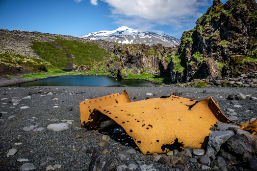 Private Snæfellsnes Peninsula Tour — photo 12