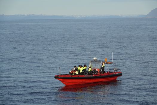 Solar Eclipse by RIB Speedboat from Reykjavík — photo 5