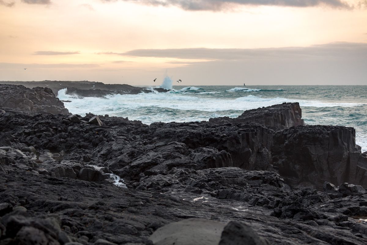 Reykjanes Lava Circle: Private Adventure to New Lava & Grindavík, photo 59 of 97