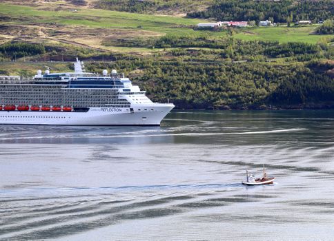 Whale Watching Tour w/ Transfer from Akureyri — photo 3