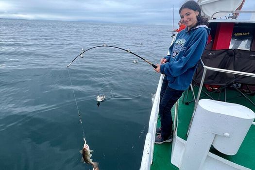 Reykjavik's Finest Catch: Guided Sea Angling Tour for All Levels — photo 12