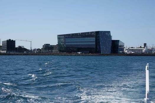 Whale watching - Downtown Reykjavík — photo 11