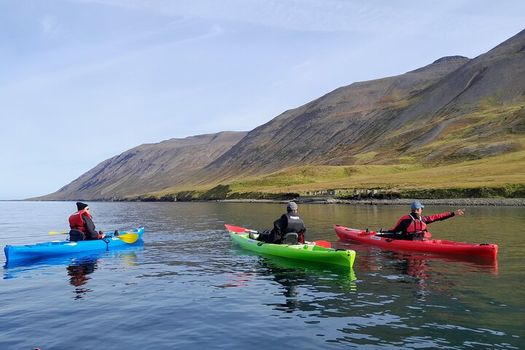 Guided kayak tour in Siglufjörður / Siglufjordur. — photo 4
