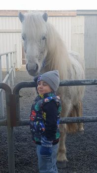 Exclusive Golden Circle Tour with Icelandic Farm Experience — photo 3