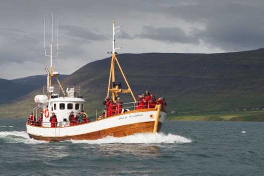 Whale Watching Tour w/ Transfer from Akureyri — photo 7