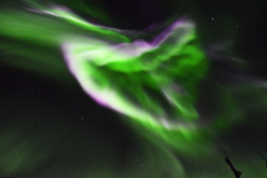 Whales & Auroras — photo 10