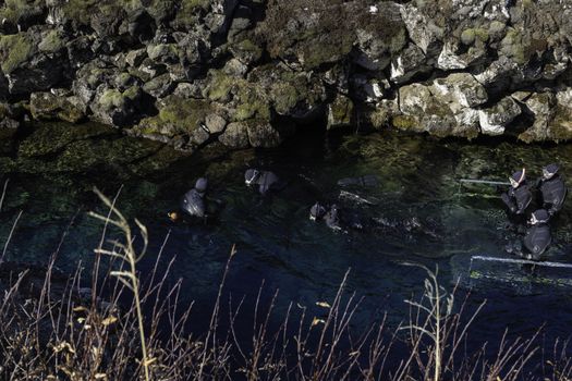 Small group Tour: Golden Snorkel: Golden Circle and Silfra Exploration