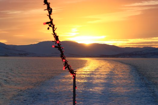 Akureyri Classic Whales in the Midnight Sun — photo 14