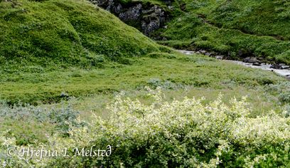 Mjóifjörður Super Jeep Tour - Seyðisfjörður