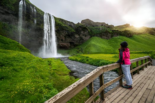Private South Coast Tour from Reykjavik in Multi-Language Guide Options — photo 6