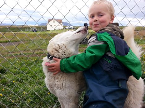 Siberian Husky Kennel Visit — photo 4