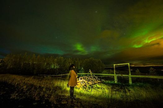 Northern Lights Bus Tour — photo 6