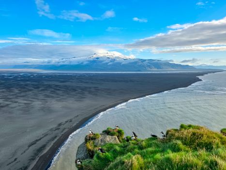 Ingólfshöfði Puffin Photo Tour — photo 8