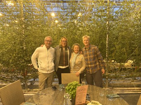 Golden Circle Private Tour & Fridheimar Farm Visit from Reykjavik — photo 4