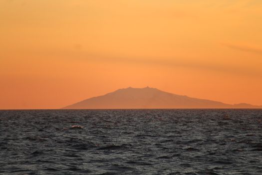 Reykjavík Premium Whales in the Midnight Sun — photo 16