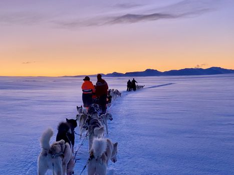Dog Sledding Near Reykjavik — photo 15