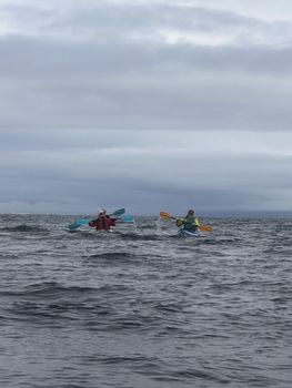 Guided Kayak Tour in Árskógssandur: Explore Coastline & Wildlife — photo 11