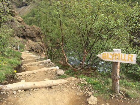 PRIVATE Glymur Waterfall Hike & Hvammsvík Nature Baths — photo 4